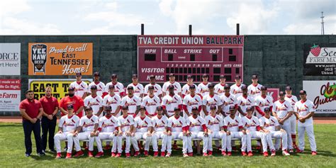 2019 st louis cardinals roster|St. Louis Cardinals 2019 Scores, Stats, Schedule, Standings.